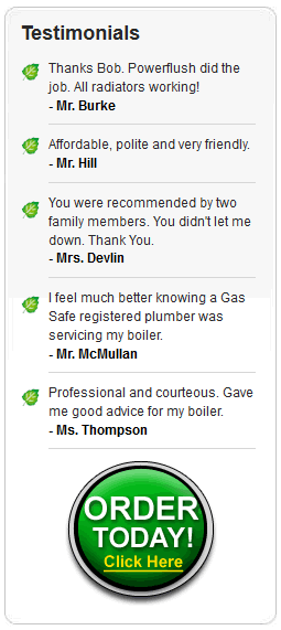 use calls to action with web design belfast